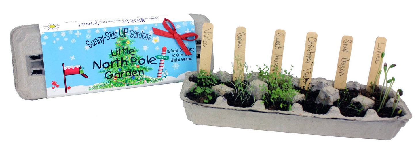Little North Pole Garden Christmas Holiday Grow Kit