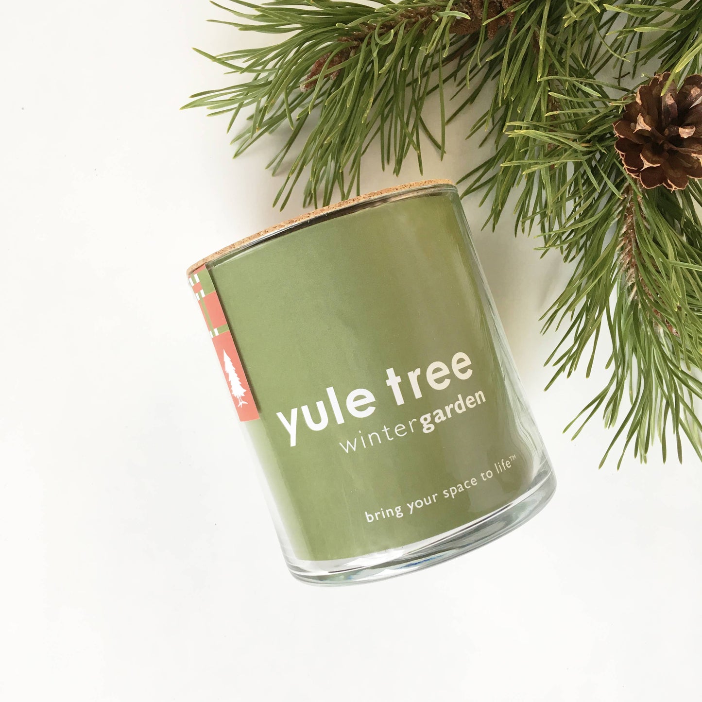 Christmas Tree in a Jar