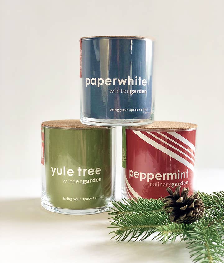 Christmas Tree in a Jar