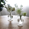 Set of 2 Glass Cambridge Ella 7" Bud Vase