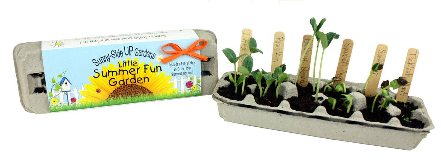 Little Summer Fun Garden Grow Kit