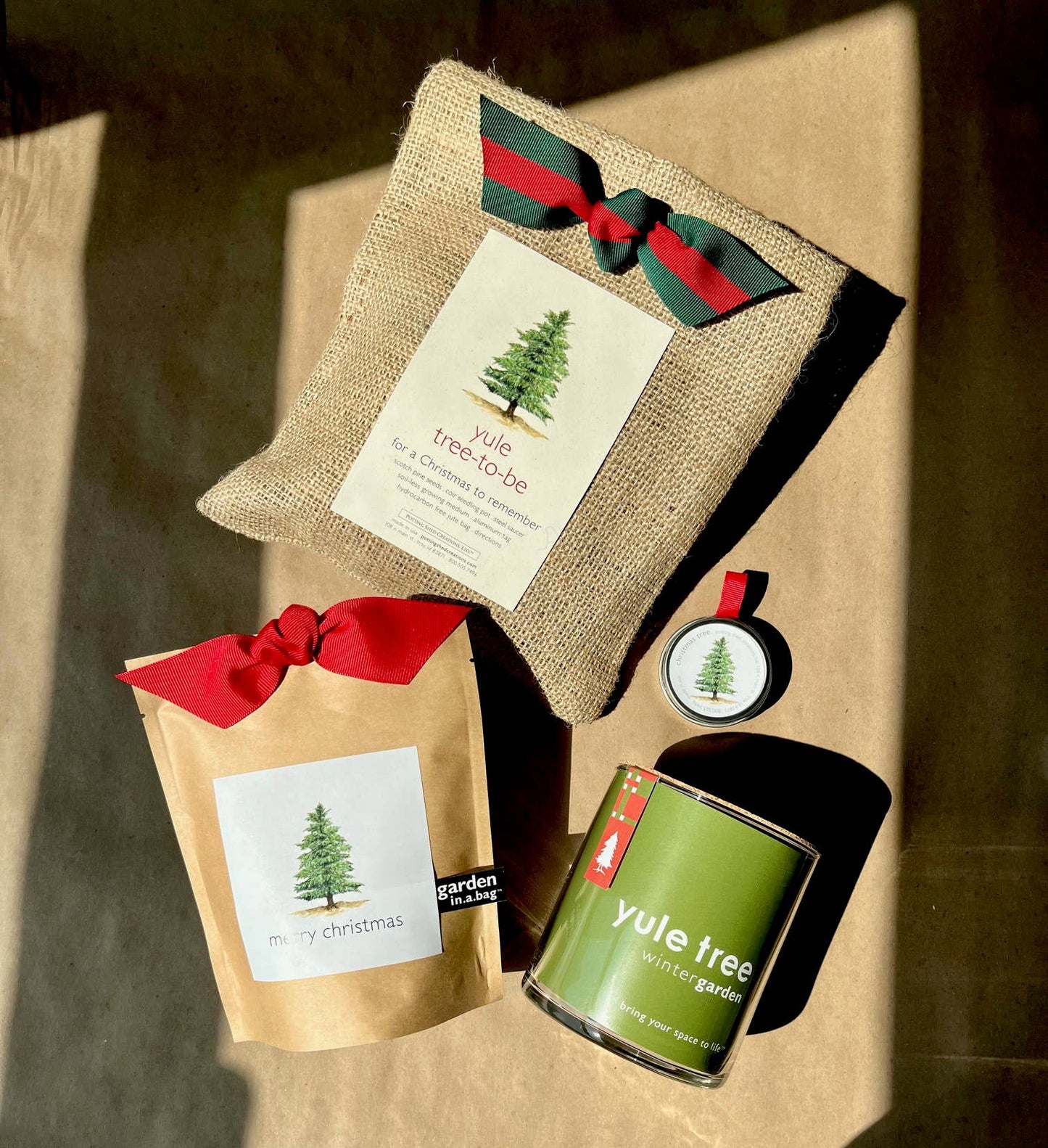 Christmas Tree in a Jar