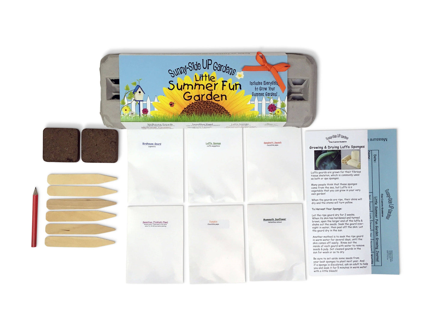 Little Summer Fun Garden Grow Kit