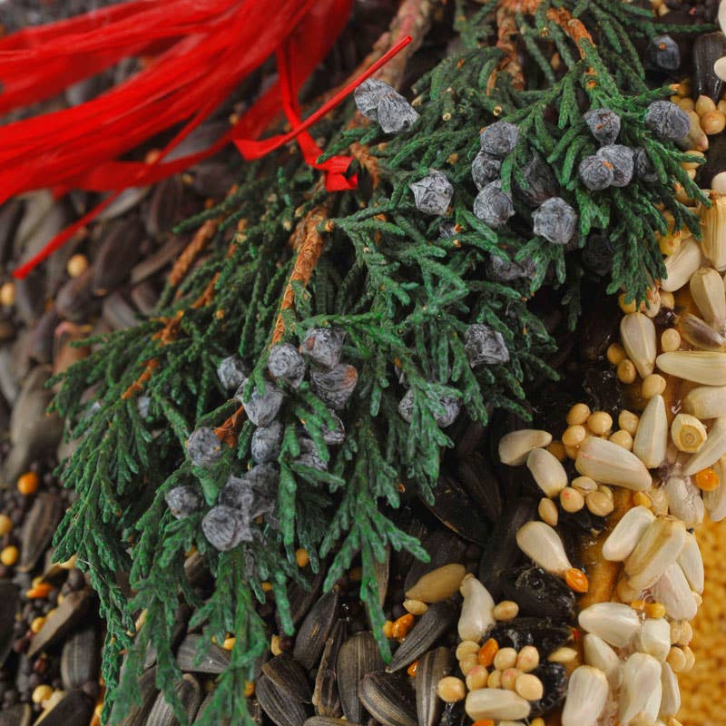 Juniper B&B Bird House Treat