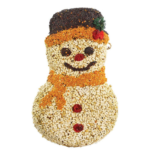 Frosty Snowman Bird Treat