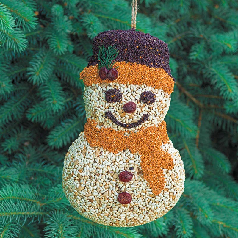 Frosty Snowman Bird Treat