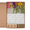Giftbox - Dried Flowers in Letterbox - With Vases - Multi
