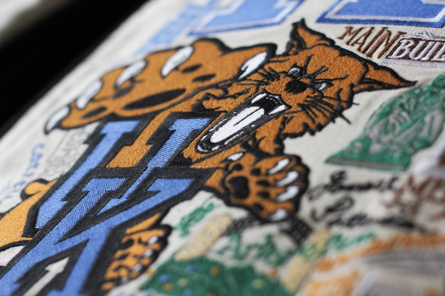 Kentucky Embroidered Pillow