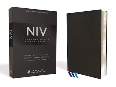 Bible NIV Thinline Large Print Black Leather
