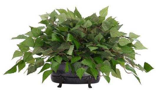 Birch Tree Leaf Arrangement