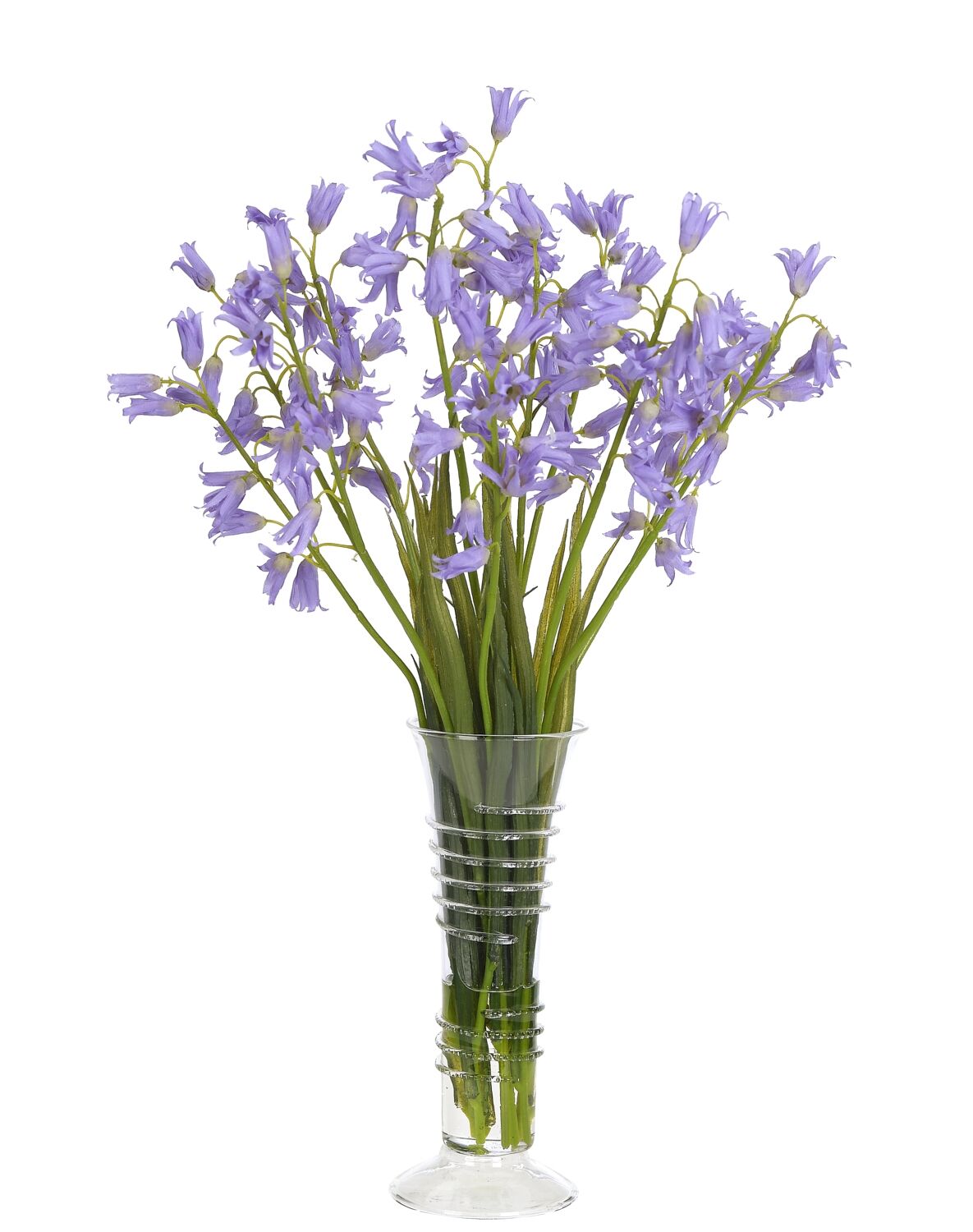 Blue Bell Lavender Arrangement