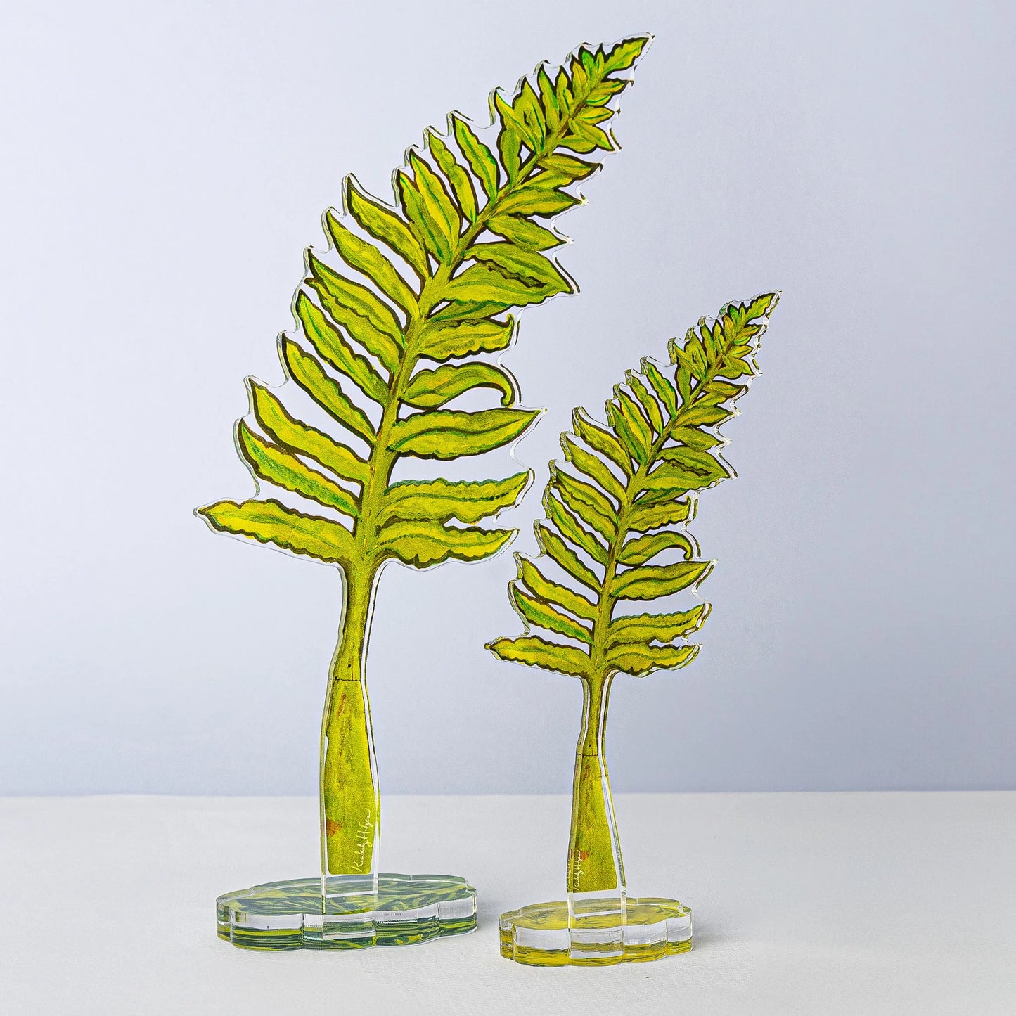 Acrylic Classic Fern