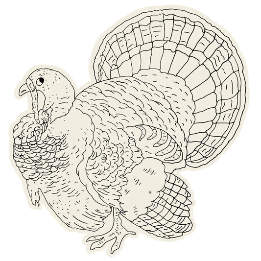 Coloring Turkey Placemat-Hester & Cook