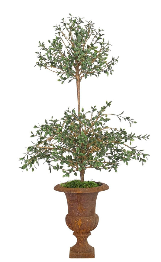 Cotoneaster Arrangement