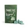Wax Melt Bears-Happy Wax