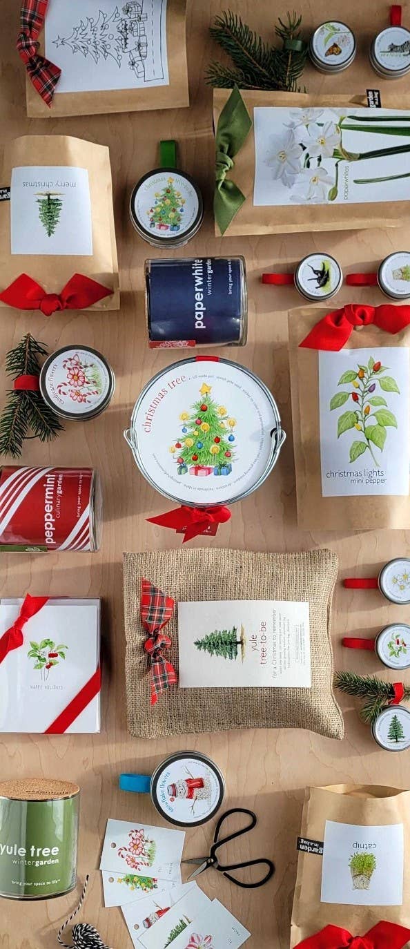Christmas Tree in a Jar