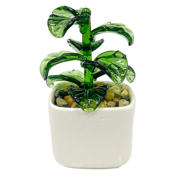 Glass Fiddle Leaf