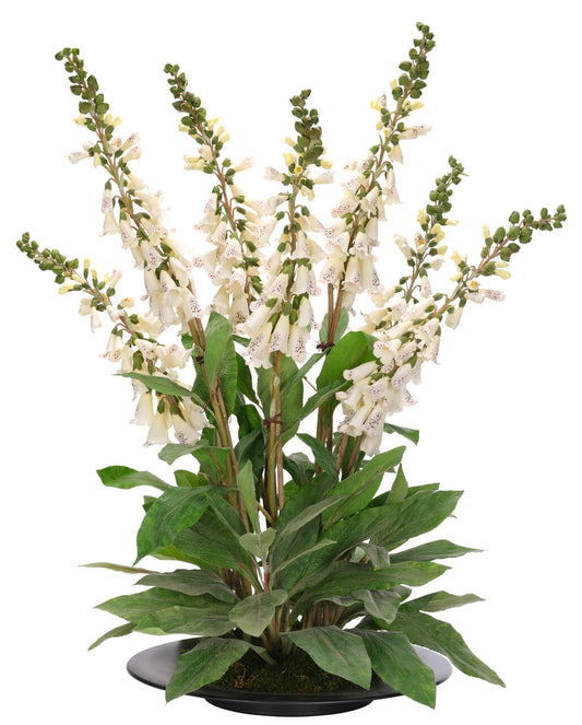 Foxglove Arrangement