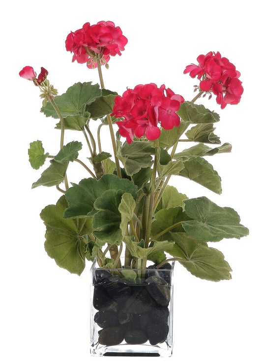 Geranium Arrangement
