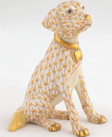 Young Golden Butterscotch