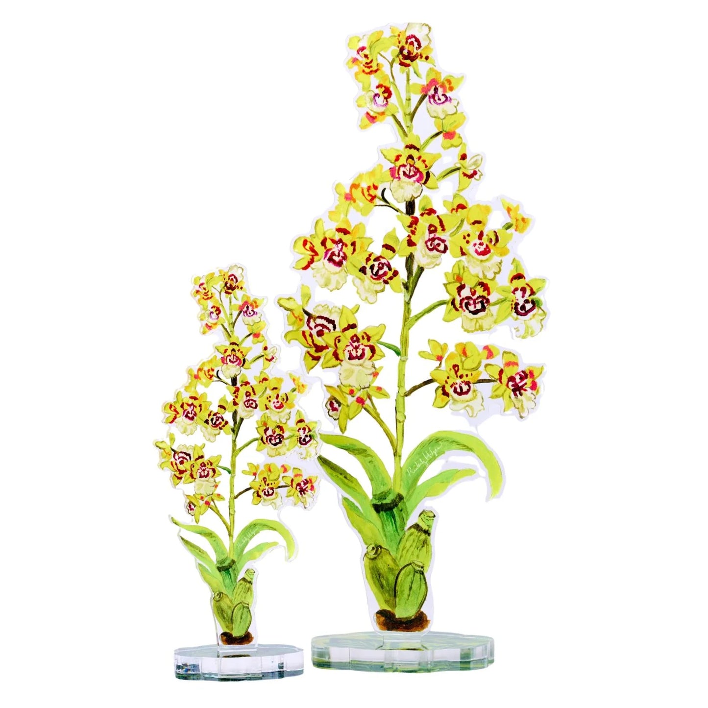 Acrylic Yellow King Orchid