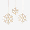Lighted Snowflakes