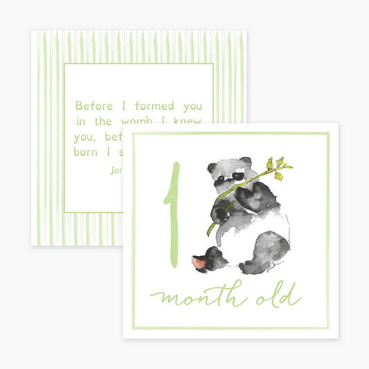Baby Milestone Cards