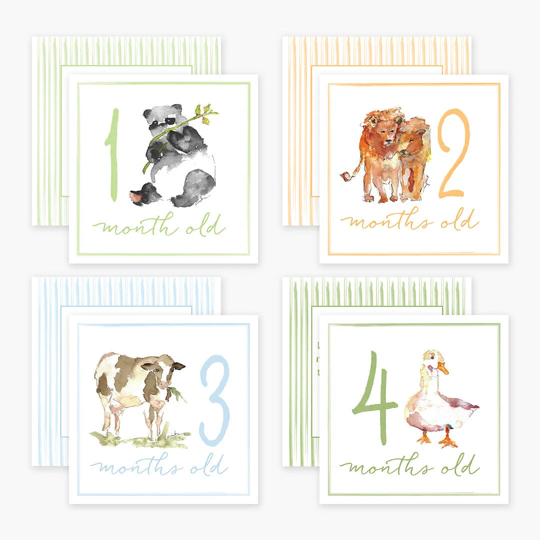Baby Milestone Cards