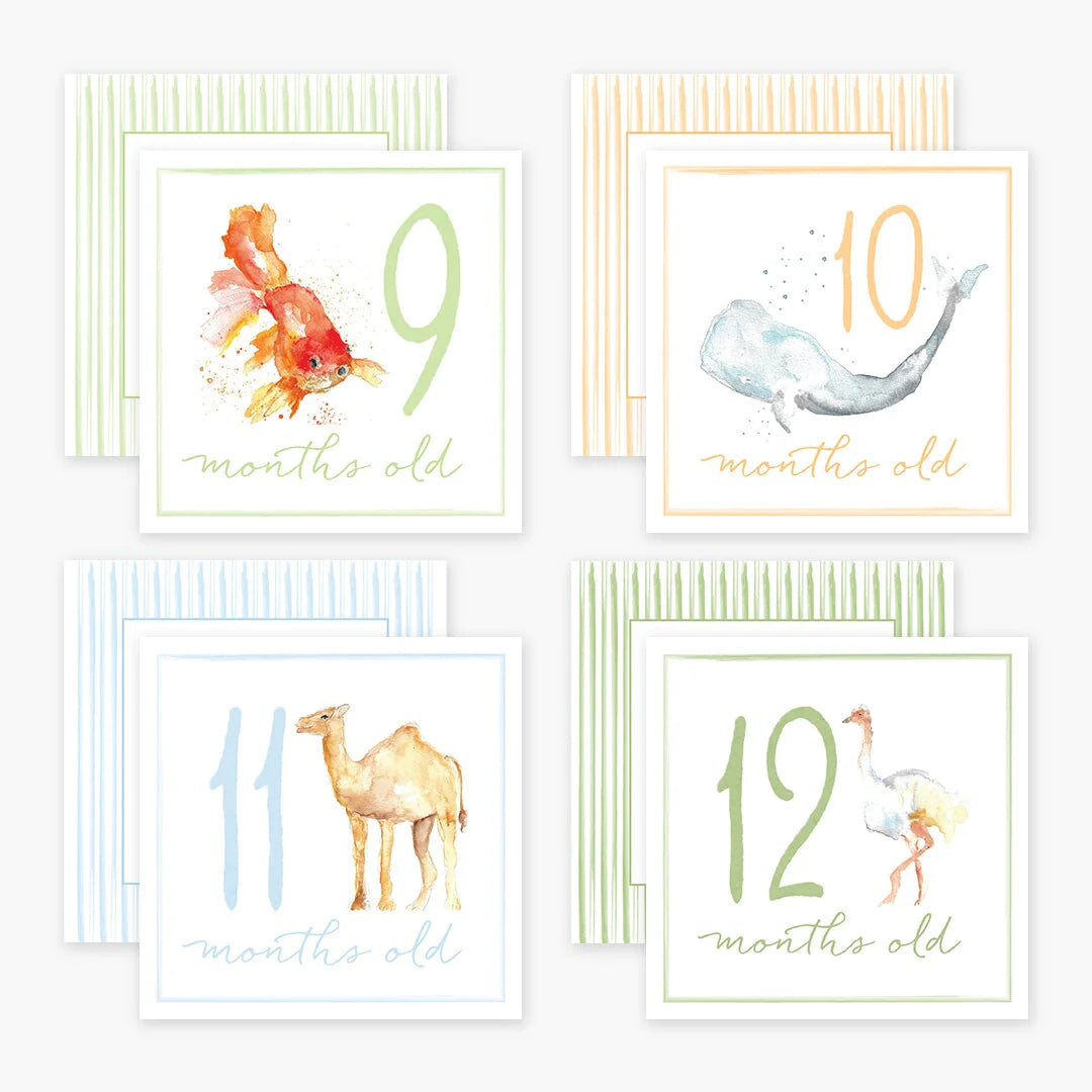 Baby Milestone Cards