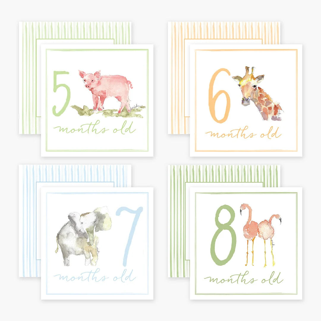 Baby Milestone Cards