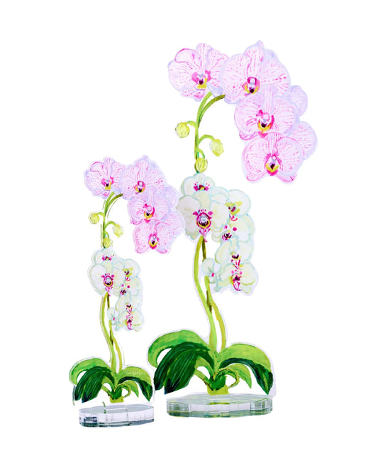Acrylic Pink Stripe Orchid