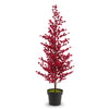 Red Berry Tree