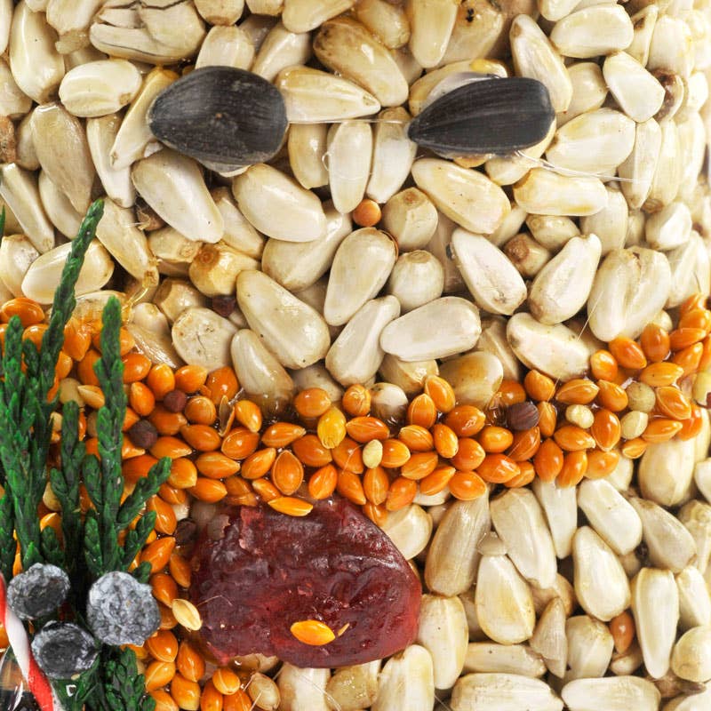 Shaped Singles Bird Treats