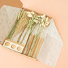 Dried Flowers in Letter Box (Gift Box) - With Vases - Natural