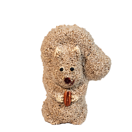 Nutzo Squirrel Bird Treat