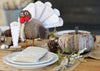 Replacement Thankful Feathers®- Bible Verse