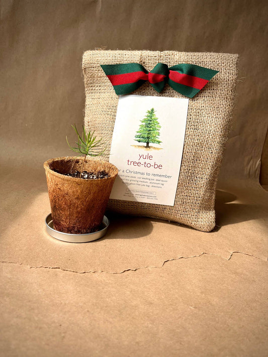 Christmas Yule Tree to Be