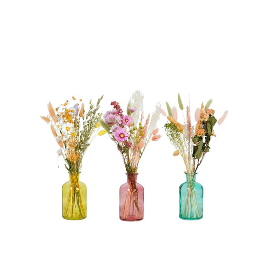 Dried Flowers - Floral Tea Party - Pastel: Pastel