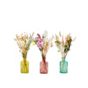 Dried Flowers - Floral Tea Party - Pastel: Pastel