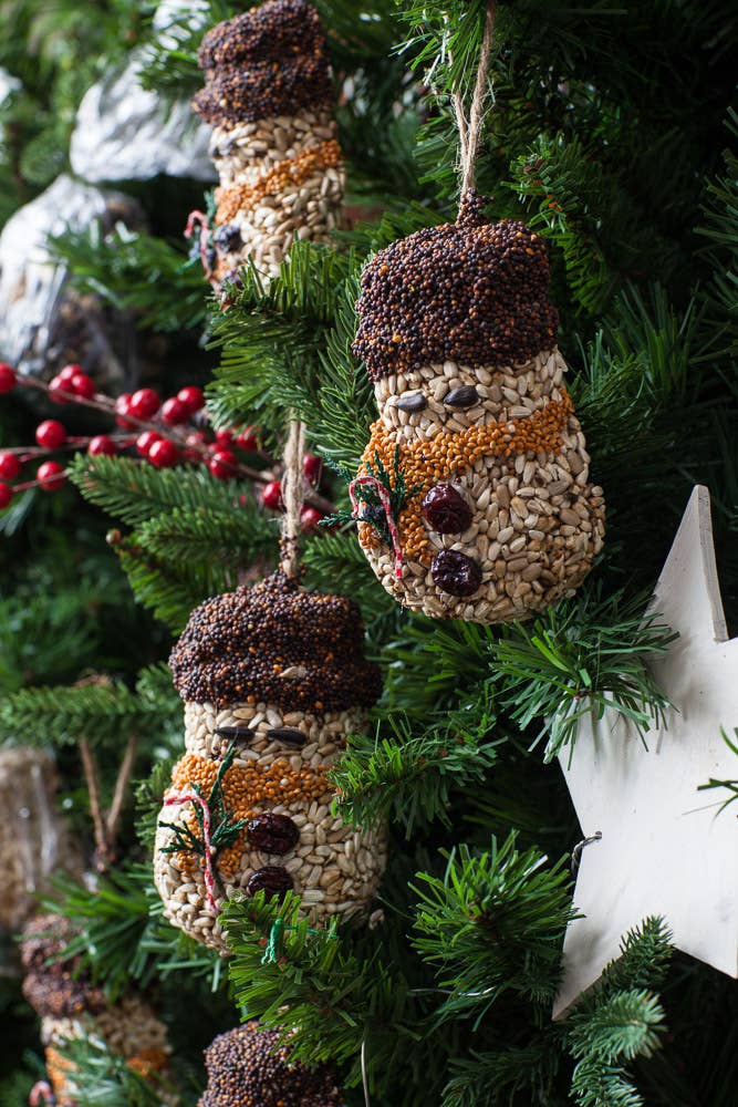 Shaped Singles Bird Treats