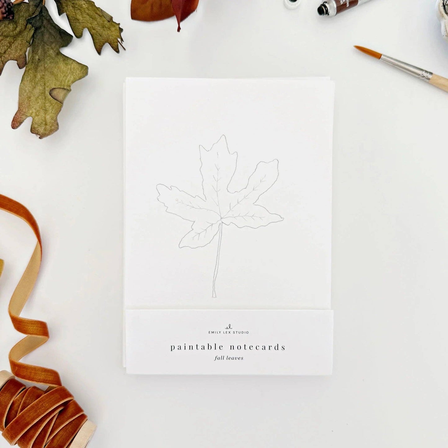 Fall Leaves Paintable Notecard Set