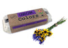 Colors Flower Garden Grow Kit