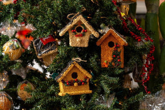 Birdie Cottage Bird House Treat