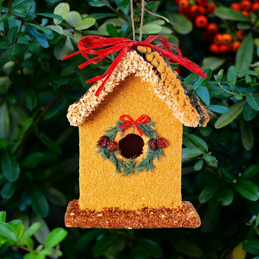 Birdie's B&B Bluebird Bird House Treat