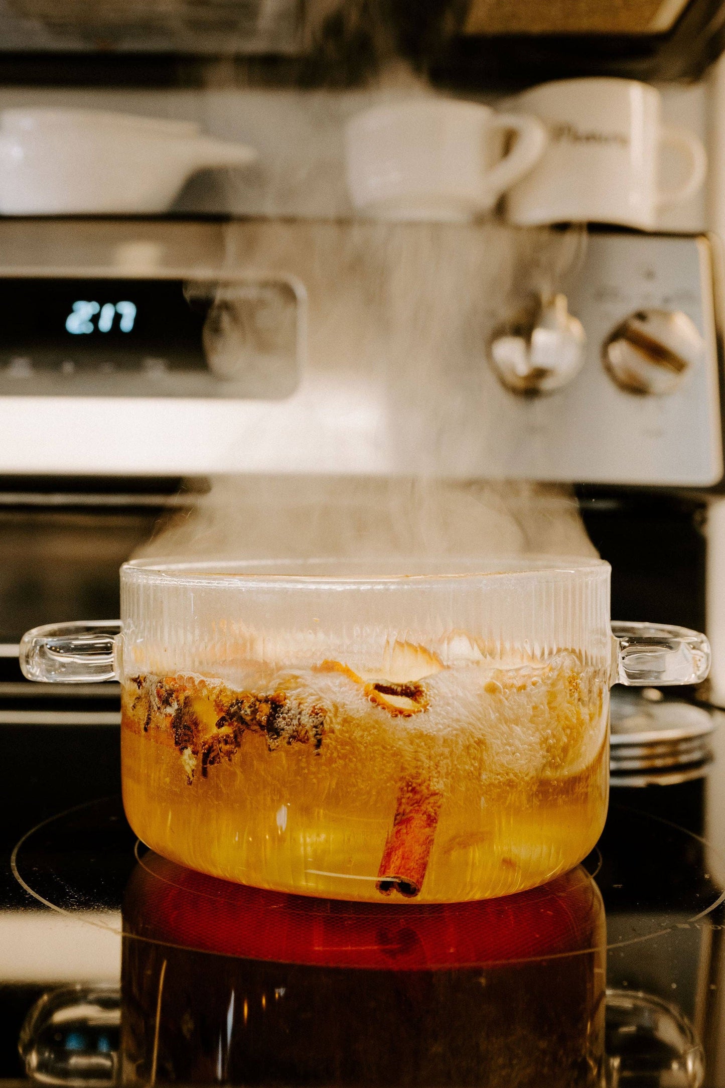 Mood Boost/ Lemon Orange Rosemary Vanilla Simmer Potpourri