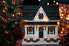 Birdhouse Holiday House w/LED Lights