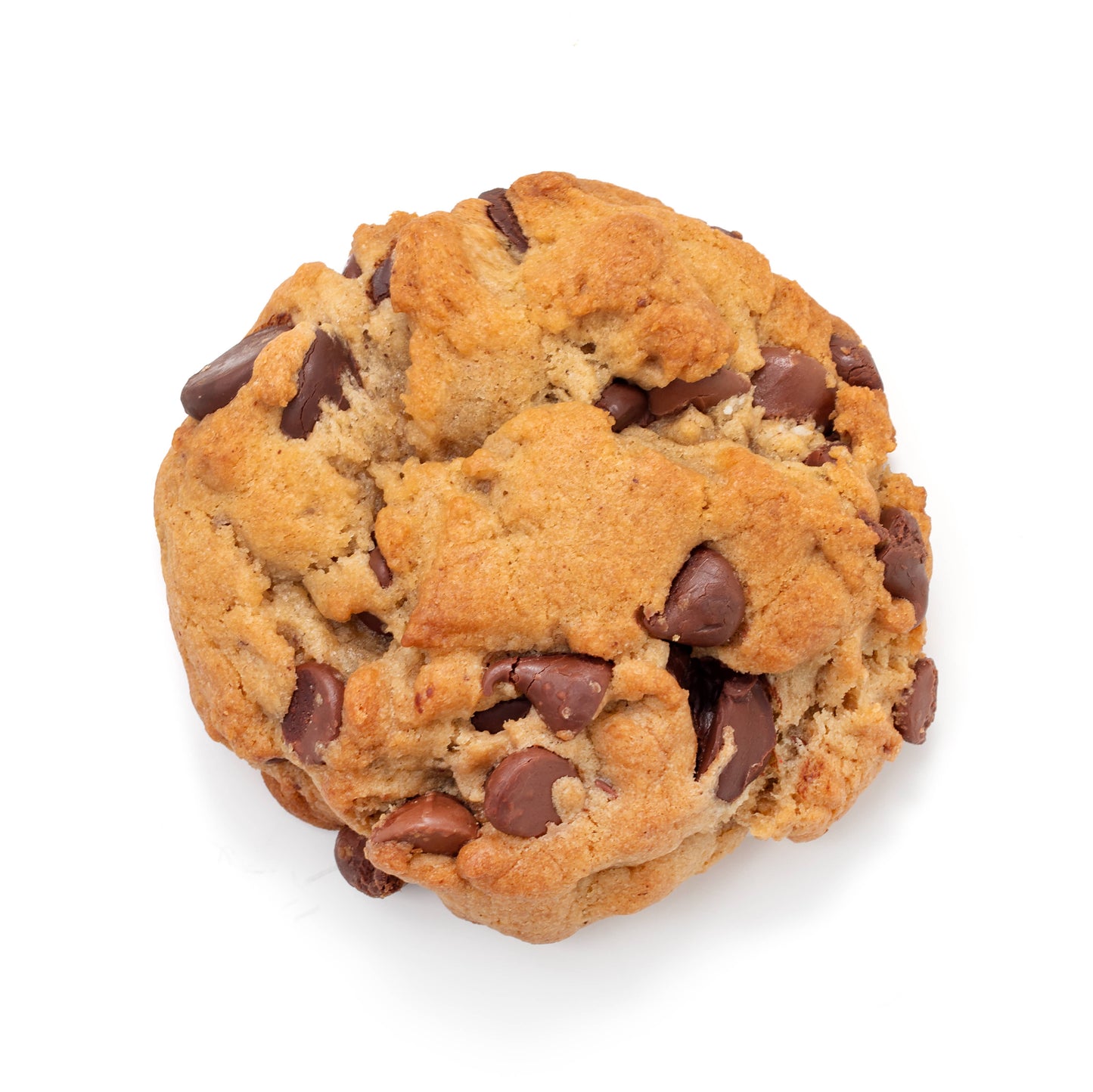 The Large Cookie: Lucille & Grace
