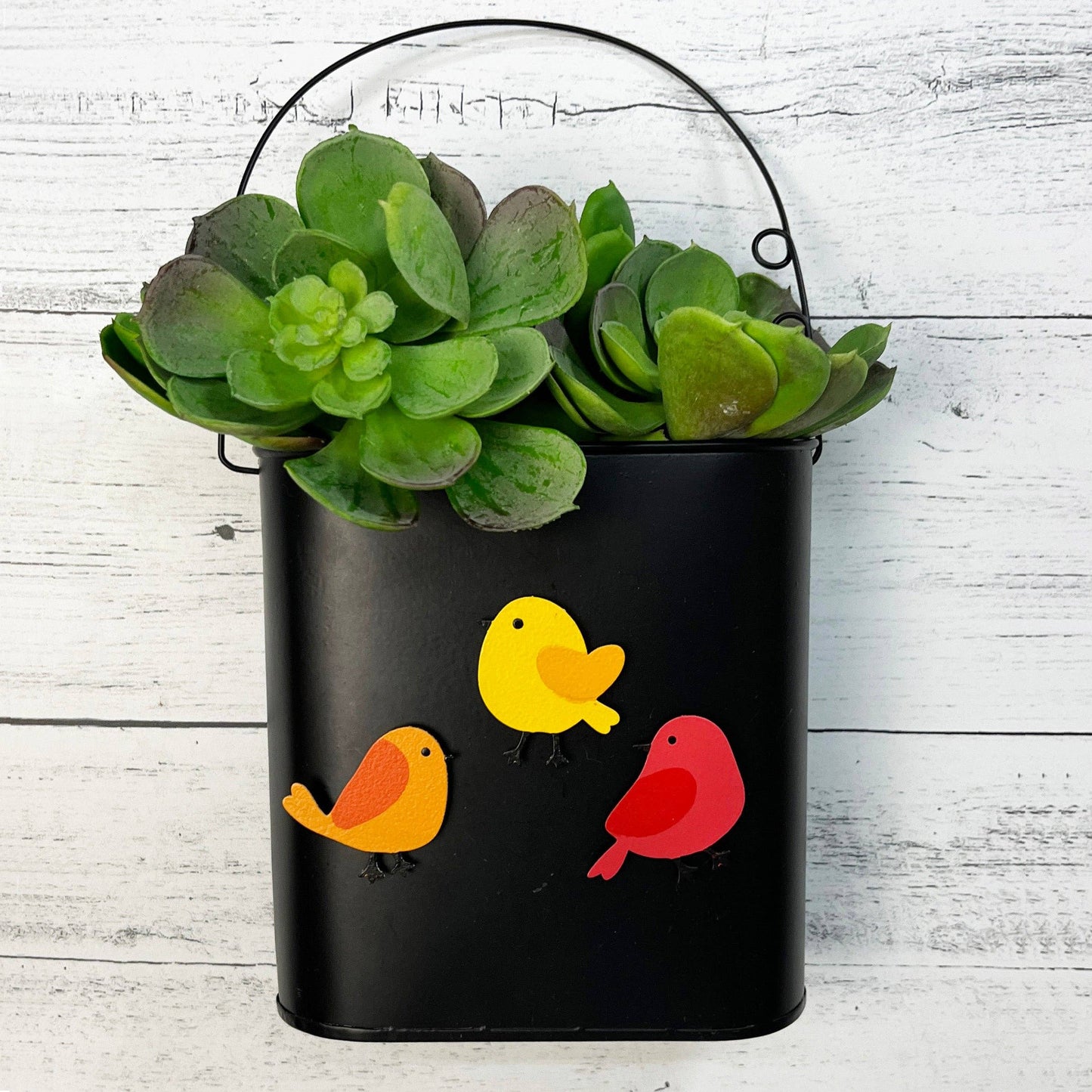 Bird Magnets Set of 3