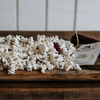 Microwave Popcorn on the Cob  - Hand-Harvested & Burlap