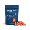 Wax Melt Bears-Happy Wax